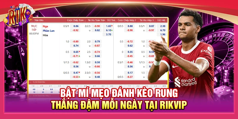 5+ Mẹo Đánh Kèo Rung Thắng Đậm Mỗi Ngày Tại Rikvip 1 5+ Mẹo Đánh Kèo Rung Thắng Đậm Mỗi Ngày Tại Rikvip