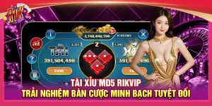 Tài Xỉu MD5 Rikvip – Trải Nghiệm Bàn Cược Minh Bạch Tuyệt Đối